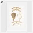 2-2_Indian-Zoology_picture