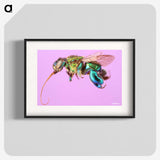 2-2_Insects-Unlocked-Project_blk