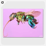 2-2_Insects-Unlocked-Project_picture-crop
