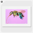 2-2_Insects-Unlocked-Project_picture