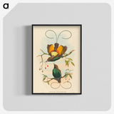 2-2_John-Gould_blk-crop