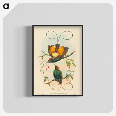 2-2_John-Gould_blk-crop