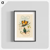 2-2_John-Gould_blk