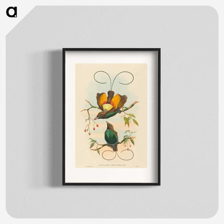 2-2_John-Gould_blk