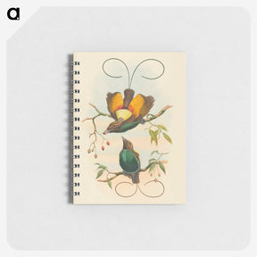 2-2_John-Gould_memo
