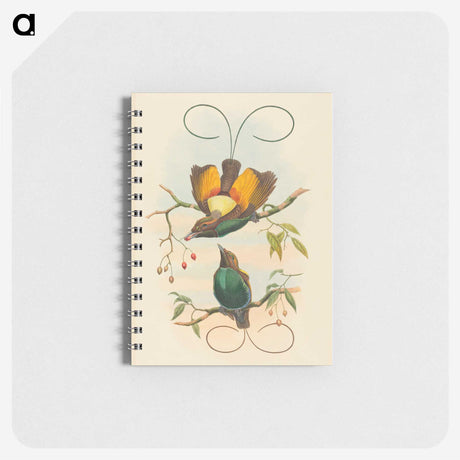 2-2_John-Gould_memo