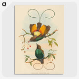 2-2_John-Gould_picture-crop