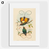 2-2_John-Gould_picture