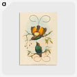 2-2_John-Gould_postcard