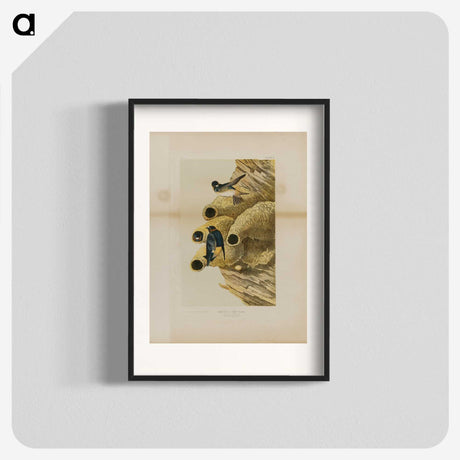 2-2_John-James-Audubon_blk