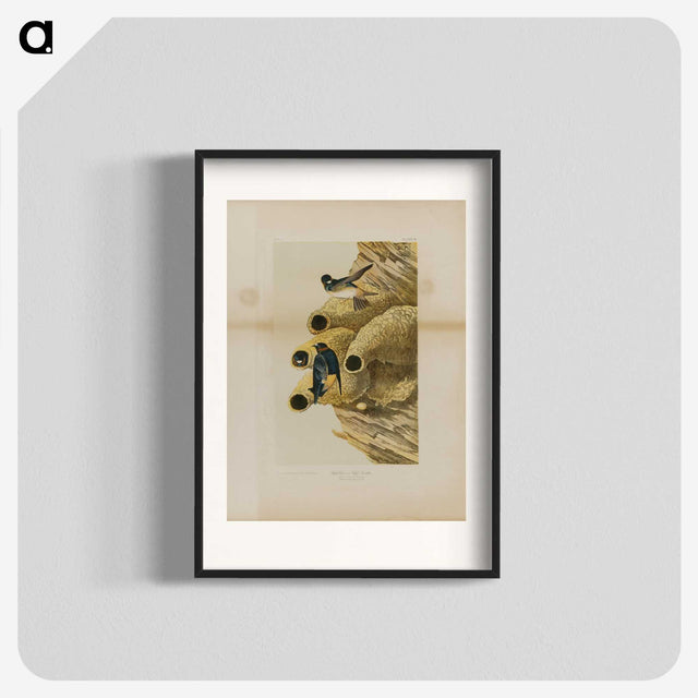 2-2_John-James-Audubon_blk