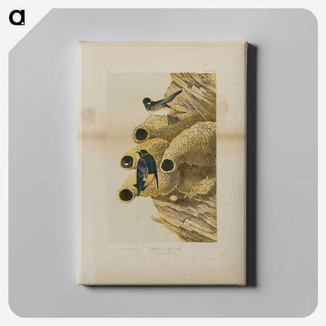 2-2_John-James-Audubon_canvas