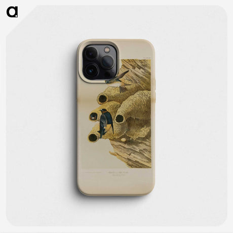 2-2_John-James-Audubon_phone