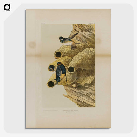2-2_John-James-Audubon_picture-crop
