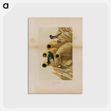 Cliff Swallows
 - ジョン ジェームス オーデュボン Postcard.