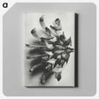 2-2_Karl-Blossfeldt_canvas