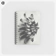 2-2_Karl-Blossfeldt_memo