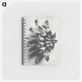 2-2_Karl-Blossfeldt_memo