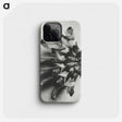 2-2_Karl-Blossfeldt_phone