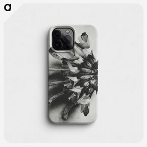 2-2_Karl-Blossfeldt_phone