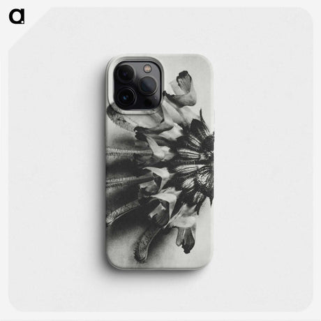 2-2_Karl-Blossfeldt_phone