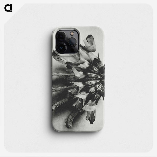 2-2_Karl-Blossfeldt_phone