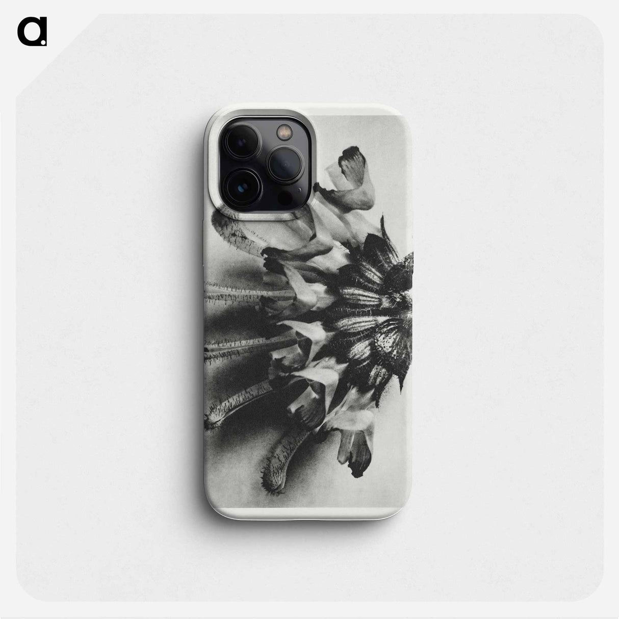 Salvia argentea - Karl Blossfeldt Phone Case.