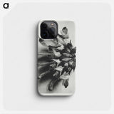 Salvia argentea - Karl Blossfeldt Phone Case.