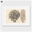 2-2_Leo-Gestel_picture