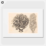 Twee studies van een vaas met bloemen - レオ ゲステル Poster.