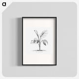 2-2_Les-Palmiers-Histoire-Iconographique_blk