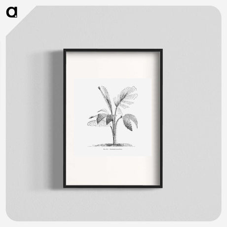 2-2_Les-Palmiers-Histoire-Iconographique_blk