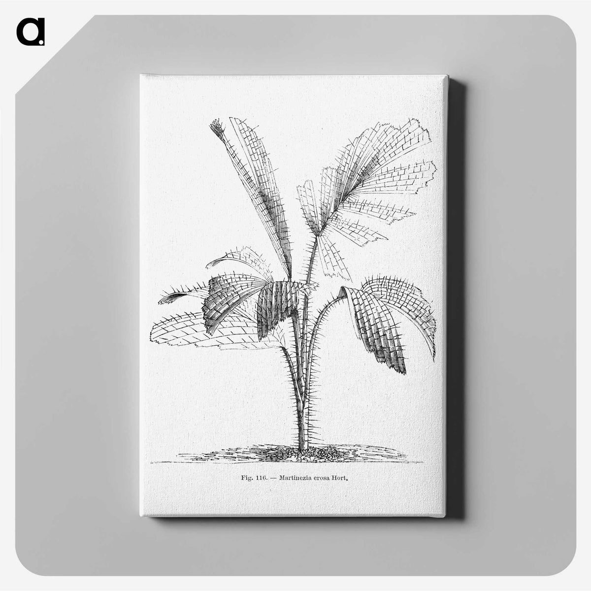 2-2_Les-Palmiers-Histoire-Iconographique_canvas