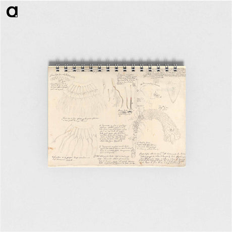 アートメモ帳-Ensete ventricosum
 - ルイージ バルガーニ Memo.