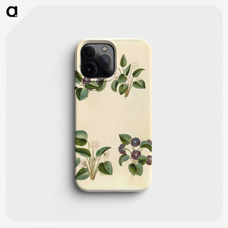 2-2_Maria-Sibylla-Merian_phone