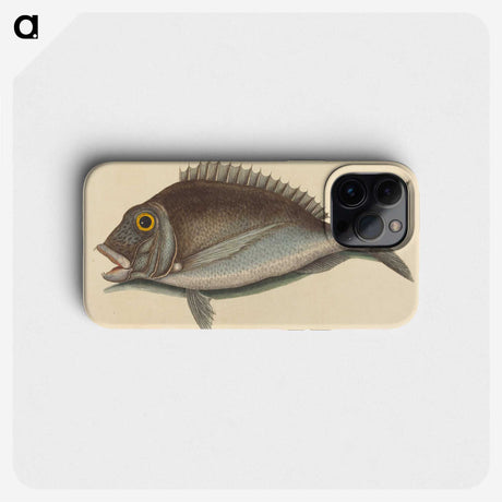 2-2_Mark-Catesby_phone