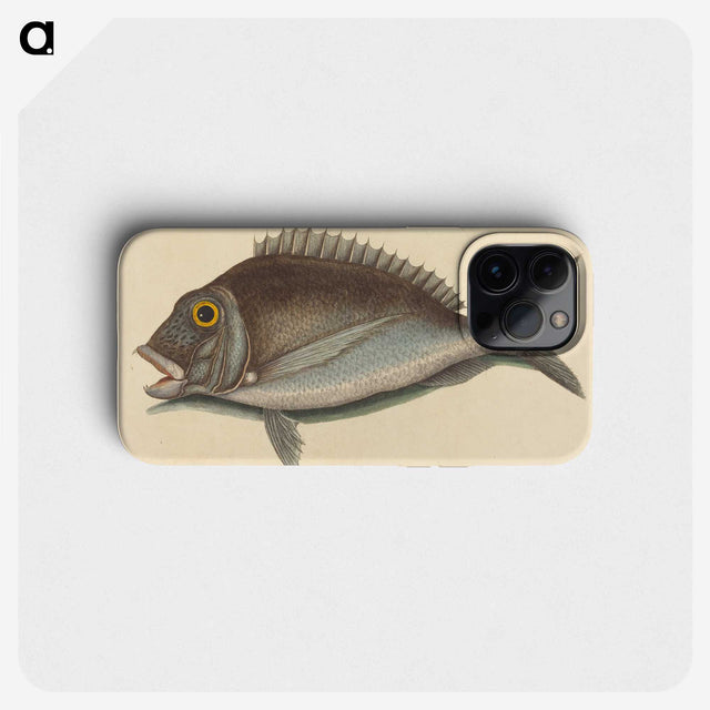 2-2_Mark-Catesby_phone