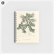 アートメモ帳-Bearberry Illustration
 - 薬用植物学 Memo.