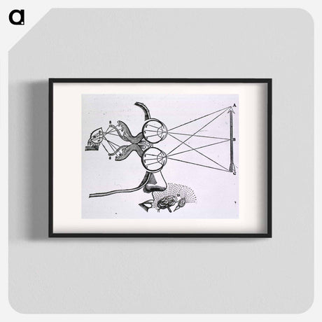 アートポスター-Vision and Visual Perception
 - 国立医学図書館 Poster.