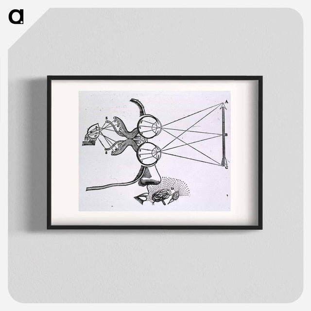 アートポスター-Vision and Visual Perception
 - 国立医学図書館 Poster.