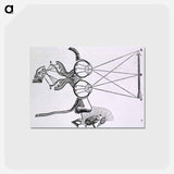 アートポストカード-Vision and Visual Perception
 - 国立医学図書館 Postcard.