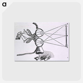 アートポストカード-Vision and Visual Perception
 - 国立医学図書館 Postcard.