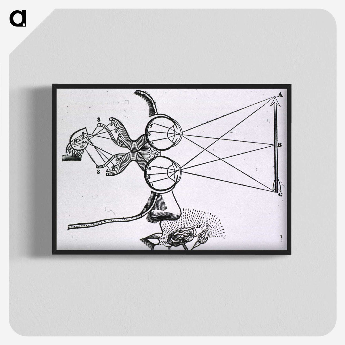2-2_National-Library-of-Medicine_blk-crop
