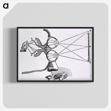 2-2_National-Library-of-Medicine_blk-crop