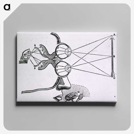 2-2_National-Library-of-Medicine_canvas