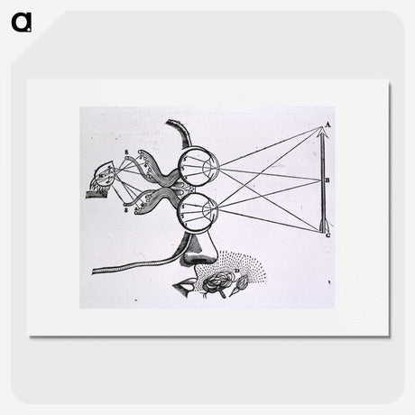2-2_National-Library-of-Medicine_picture
