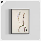 2-2_Native-Flowering-Plants-of-New-Zealand_blk-crop