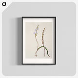 2-2_Native-Flowering-Plants-of-New-Zealand_blk