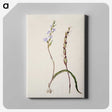 2-2_Native-Flowering-Plants-of-New-Zealand_canvas
