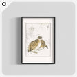 アートポスター-Japanese Quail and Gentian
 - 鳥類図鑑 Poster.